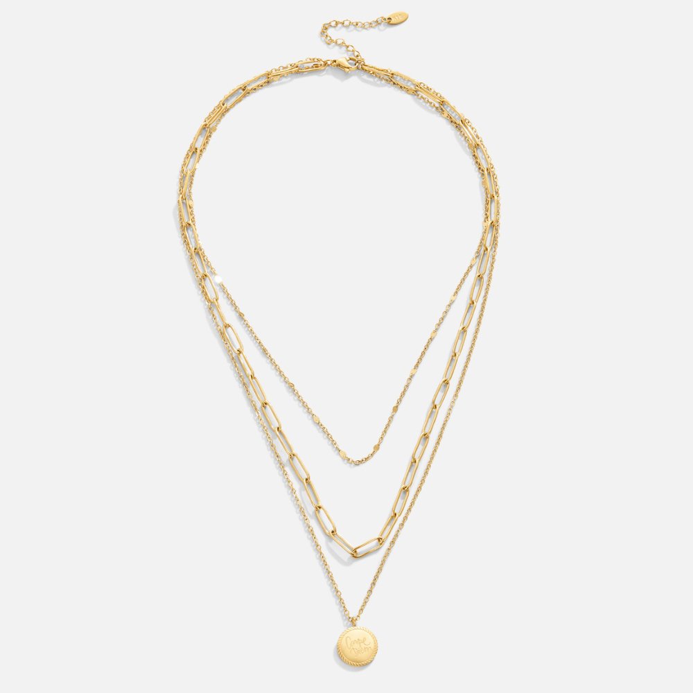 Vintage Coin Layer Necklace